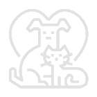 Home pet sitting icon