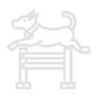 Home pet sitting training